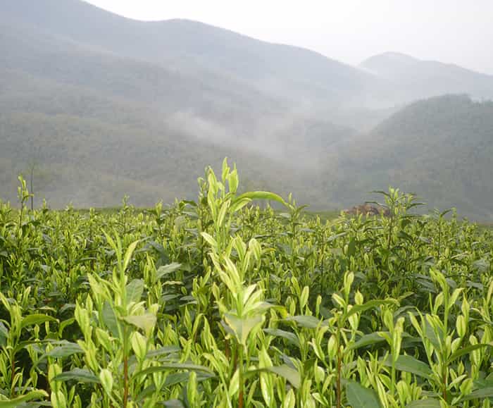 雙頭精雕機(jī)和單頭精雕機(jī)比有什么優(yōu)勢(shì)？在選擇時(shí)要考慮什么因素？